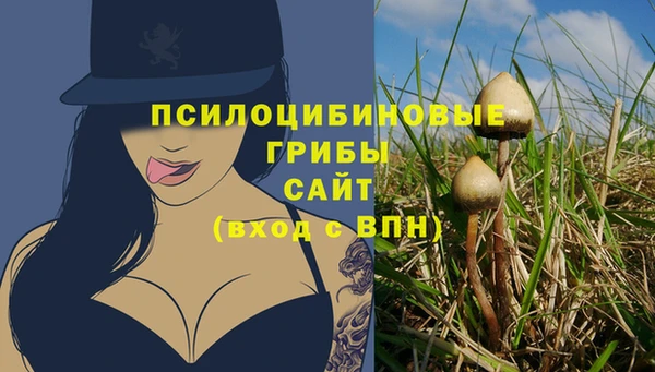 дмт Алзамай