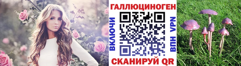 где купить наркотик  Сатка  Псилоцибиновые грибы GOLDEN TEACHER 